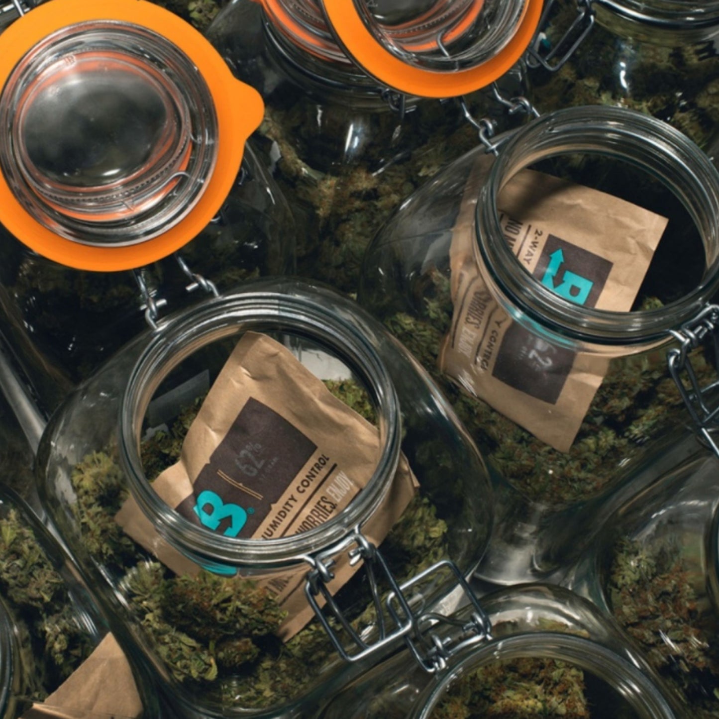 BOVEDA HUMIDITY CONTROLLER 62% RELATIVE HUMIDITY | 4, 8, 67, GRAM