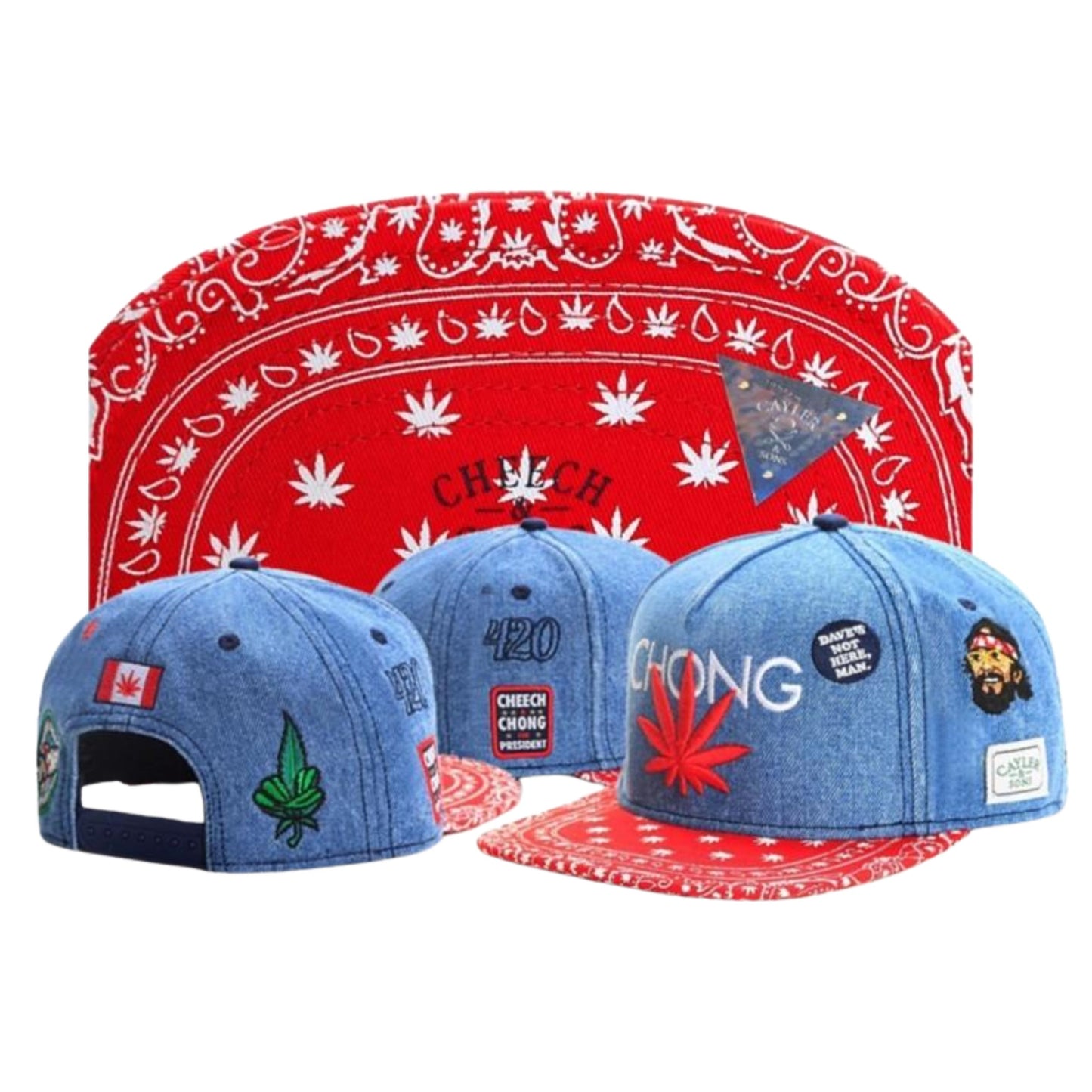 CAP CAYLER & SONS | CHEECH & CHONG FOR PRESIDENT