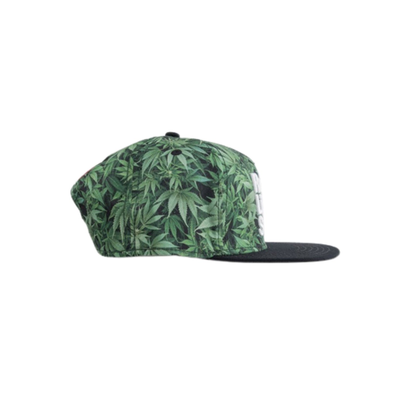 CAP CAYLER & SONS | ROLL & LIGHT & SMOKE