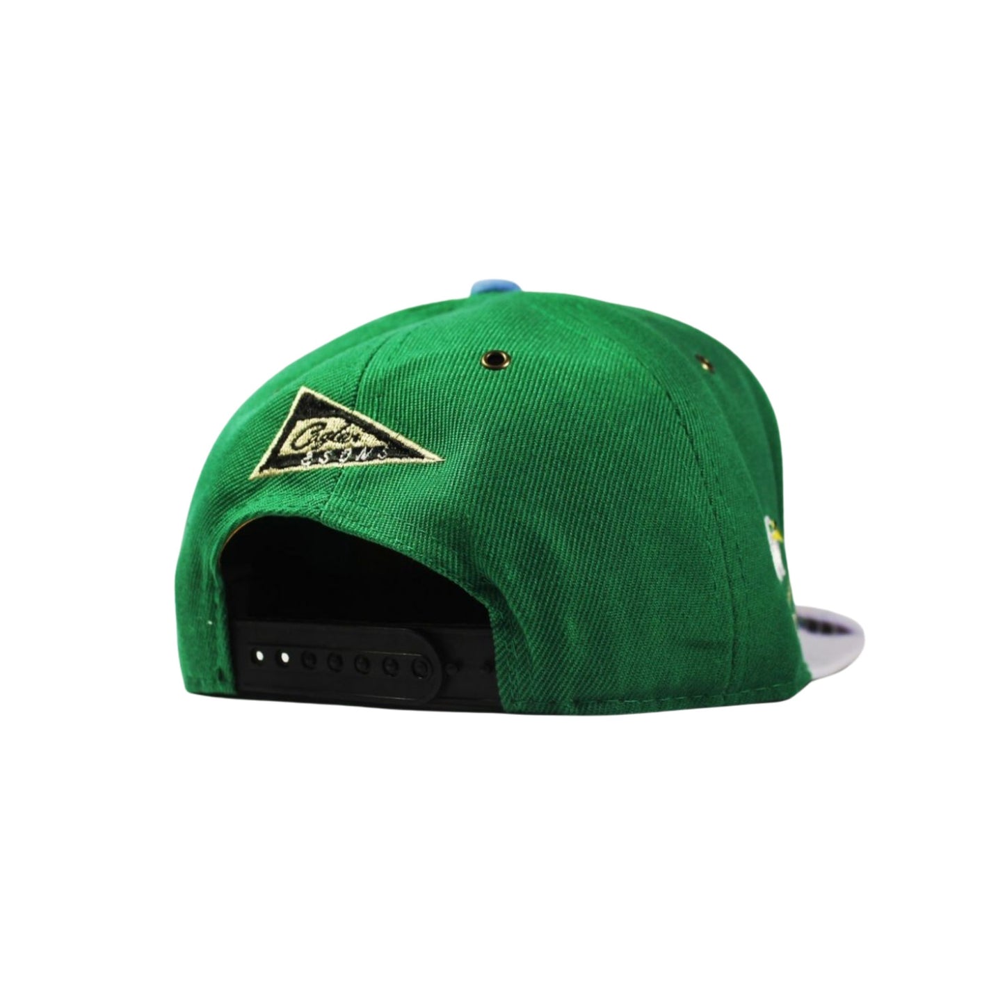 CAP CAYLER & SONS | FLYHIGH