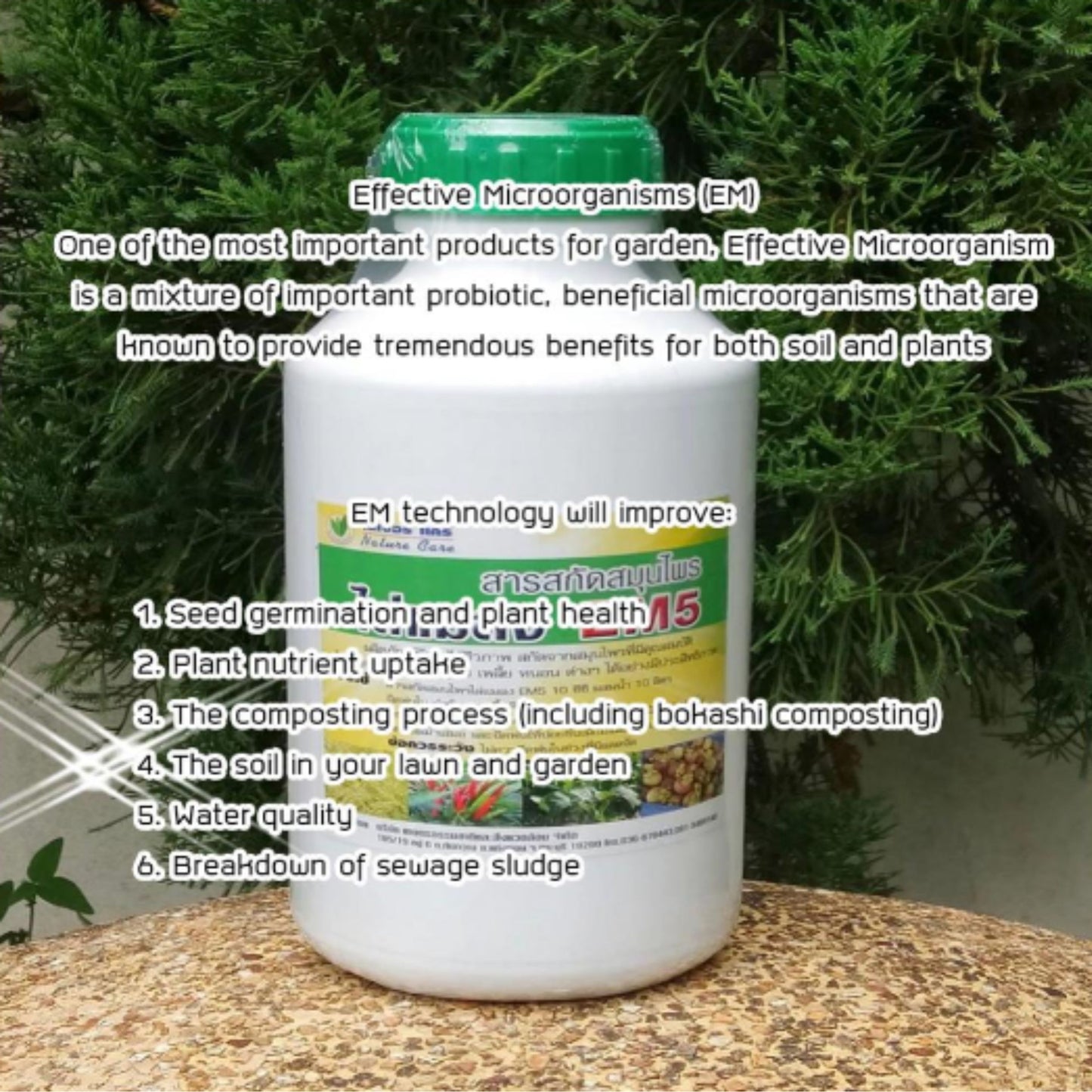 EM5 สารไล่แมลงชีวภาพ ตัดวงจรแมลงศัตรูพืช