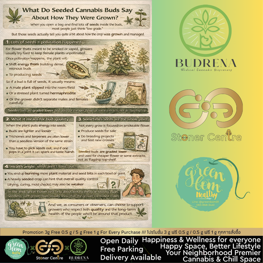 ดอกกัญชาที่มีเมล็ดเยอะสะท้อนอะไรเกี่ยวกับการปลูก?