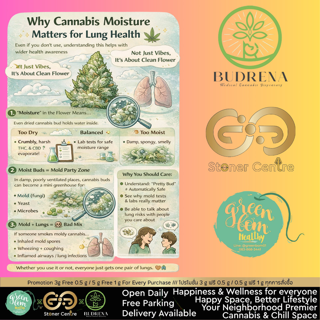 ทำไม “ความชื้น” ในดอกกัญชาถึงสำคัญต่อสุขภาพปอด 🌿