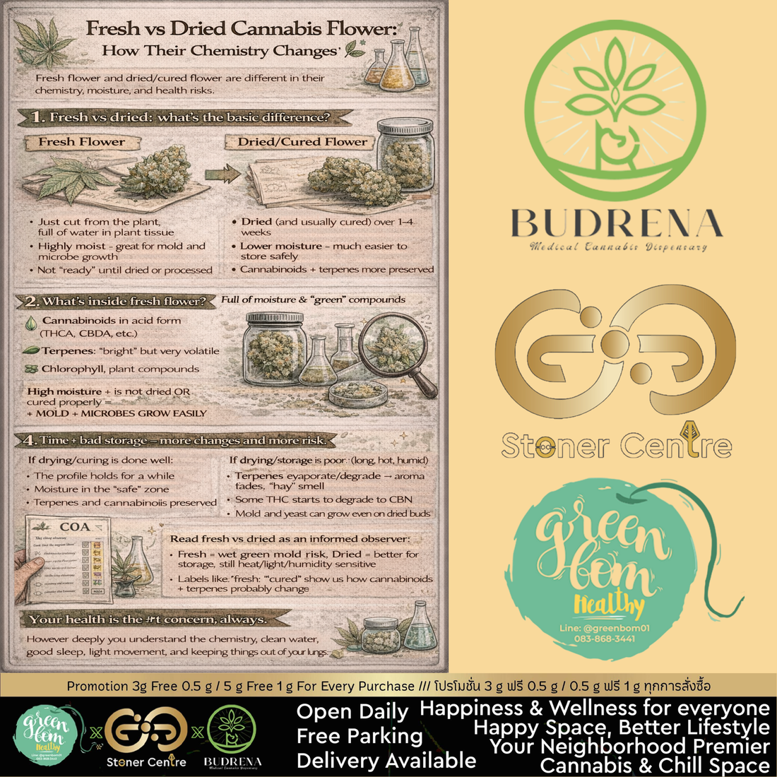 ดอกสด vs ดอกตากแห้ง: โครงสร้างสารที่แตกต่างกัน