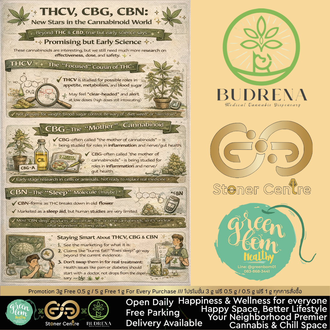 THCV, CBG, CBN: ดาวดวงใหม่ในโลกแคนนาบินอยด์