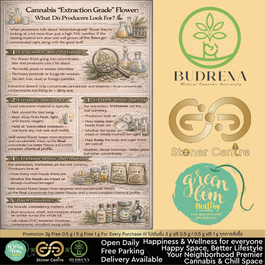 ดอกกัญชาเกรดสกัด: เขาดูอะไรเป็นพิเศษ?