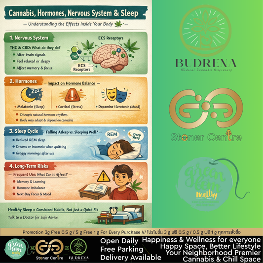 กัญชากับสมดุลของฮอร์โมน–ระบบประสาท–วงจรการนอน รู้ให้ลึก ก่อนจะมองว่าช่วย “หลับดีขึ้น” จริงไหม 🌿🧠😴