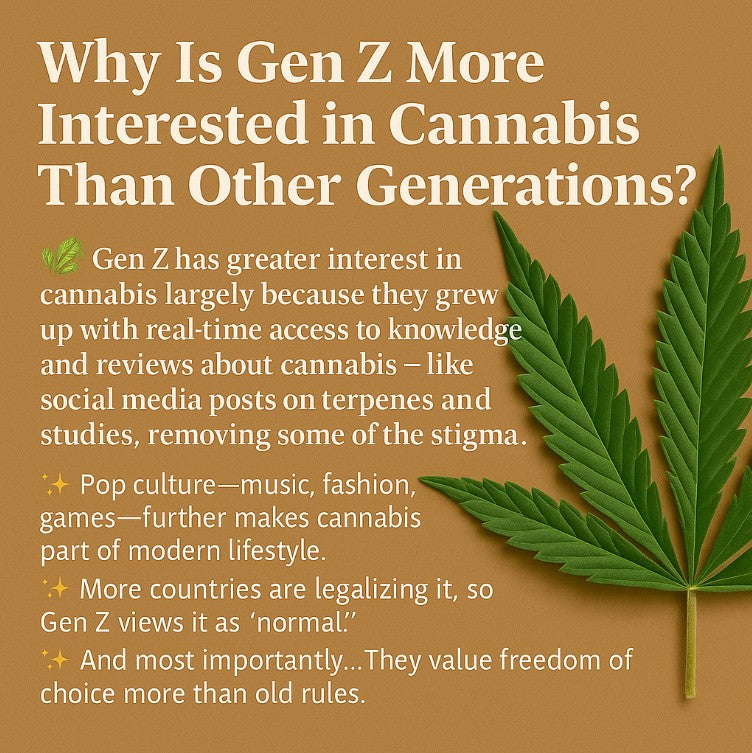 ทำไม Gen Z สนใจกัญชามากกว่าเจเนอเรชันอื่น?