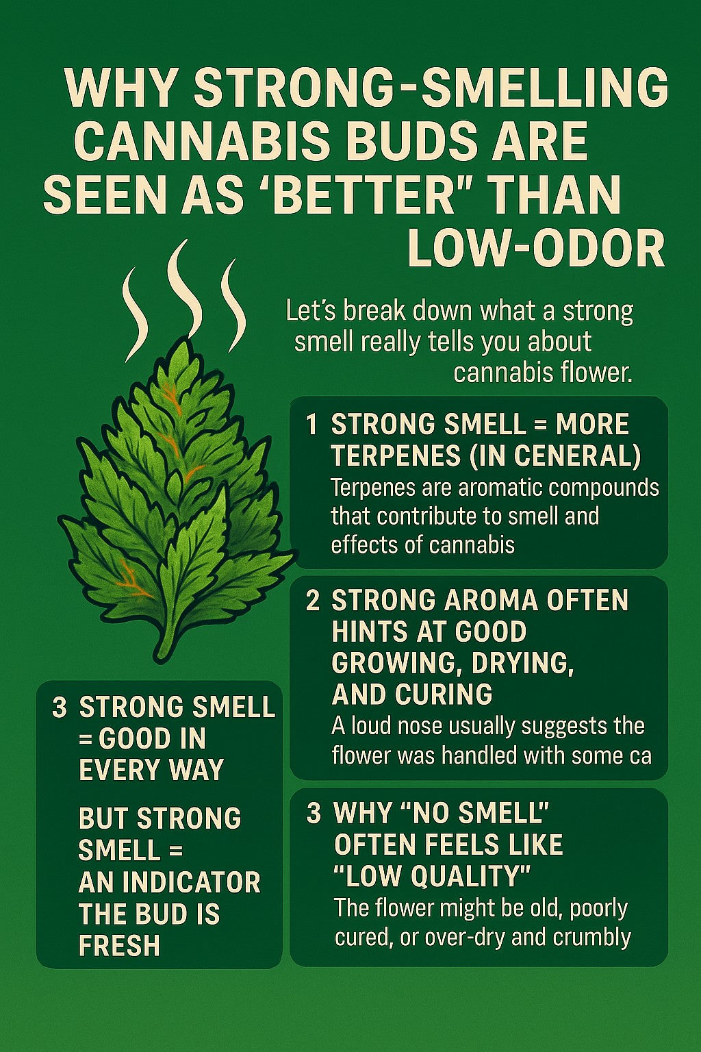 เรียนรู้ร่างกายตัวเองจากอาการหลังใช้แต่ละสายพันธุ์