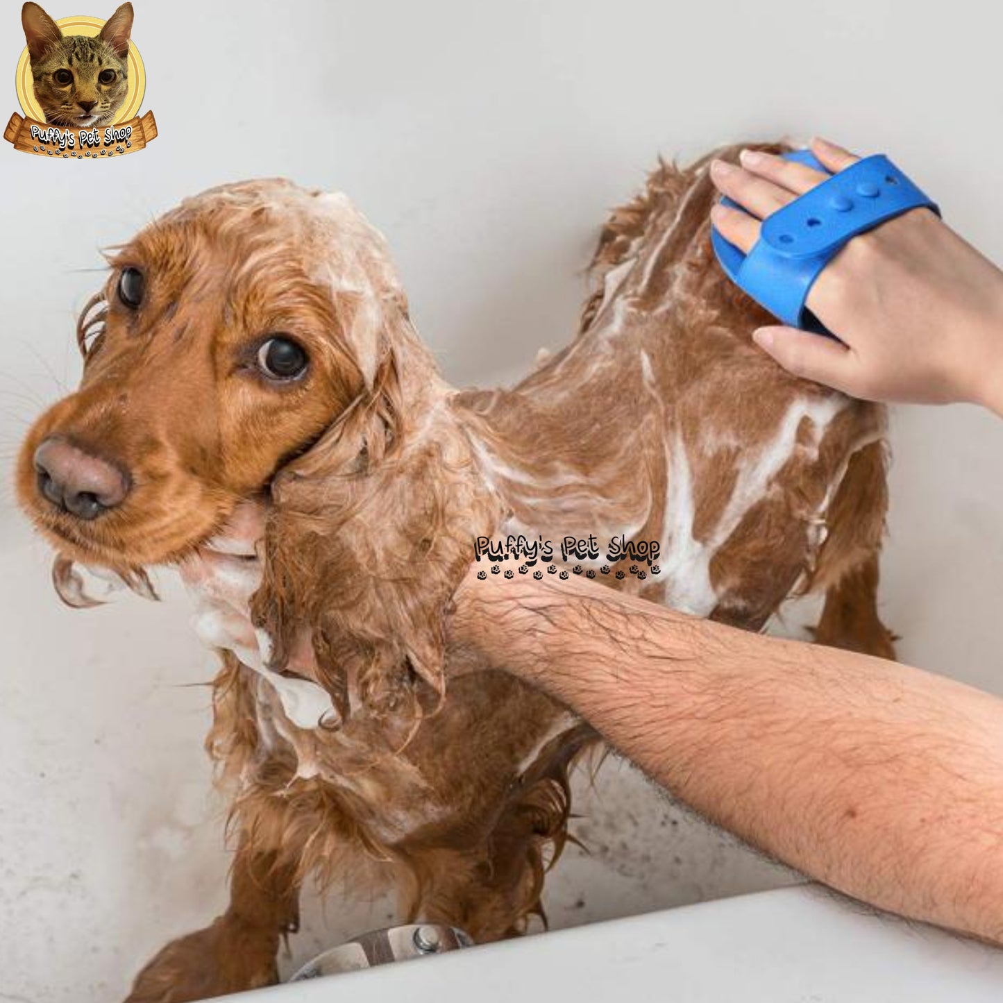 Puffy's Pet Shop | Pet Bath Brush แปรงยางอาบน้ำคุณภาพสูง สำหรับสุนัขและแมว  ขนาด 13 x 8 ซม.