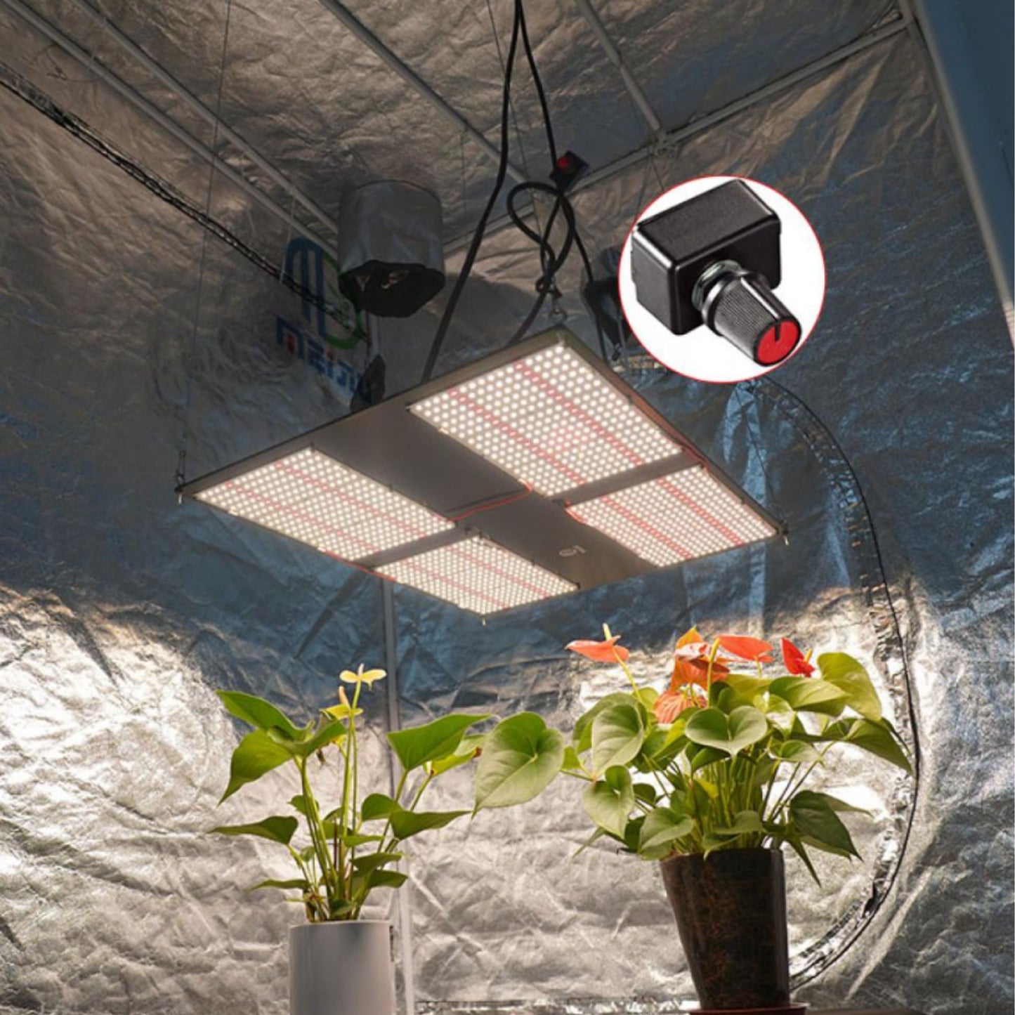 GROWING TOOLS | HLG INDOOR GROW LIGHT 480 WATT