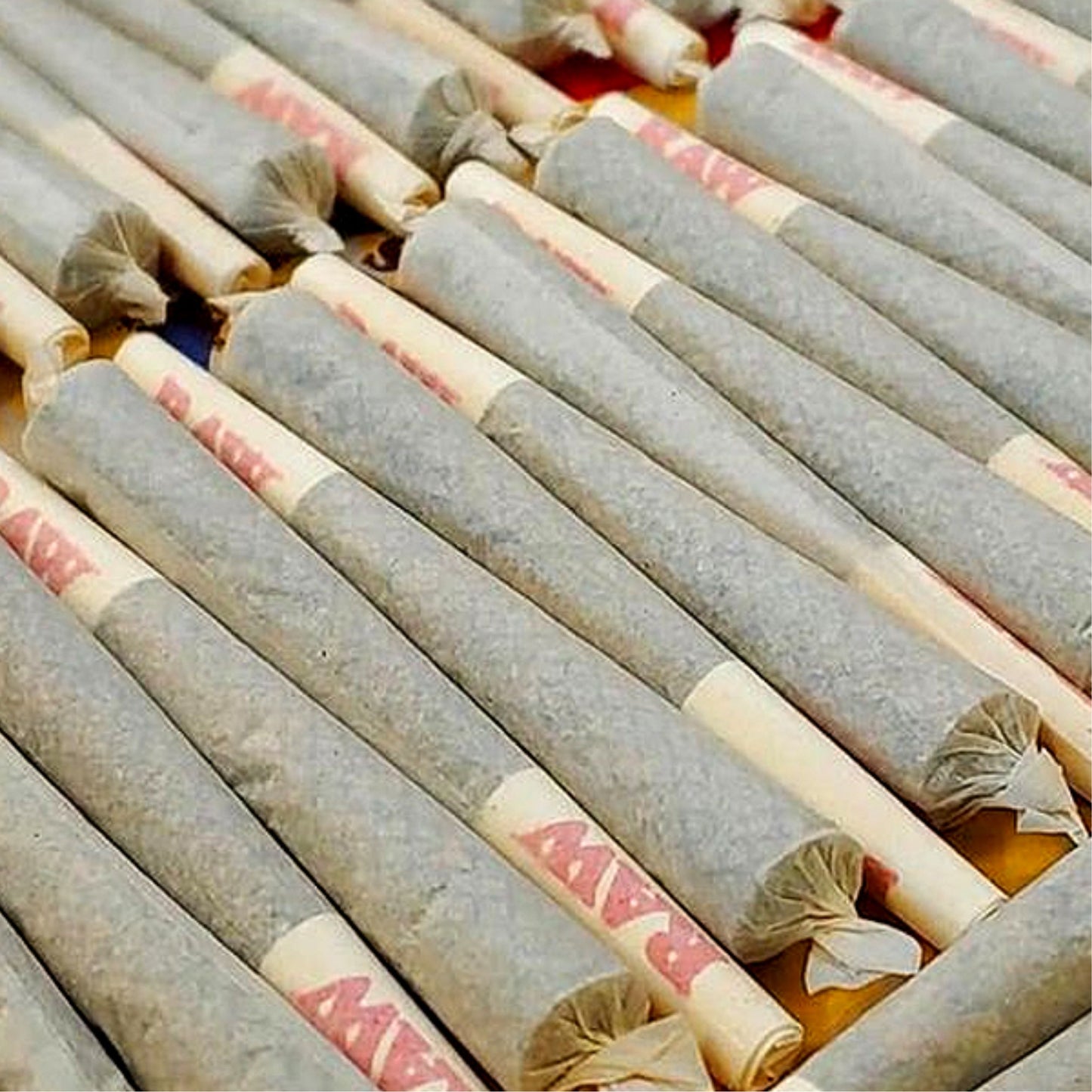 BUDDIES BUMP BOX KINGSIZE FILLS 76 CONES