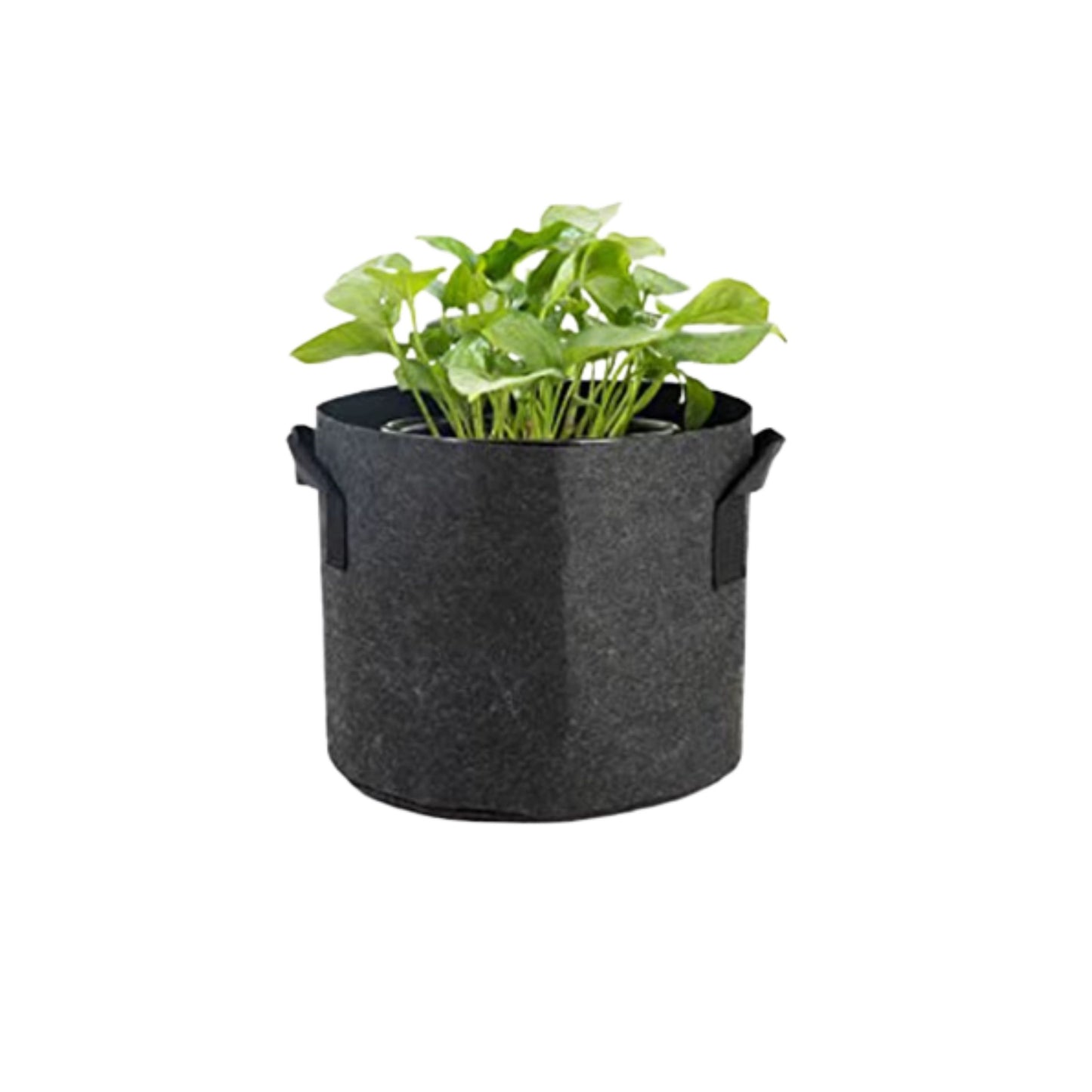 GROW BAG | SMARTPOT ROUND 2 GALLON