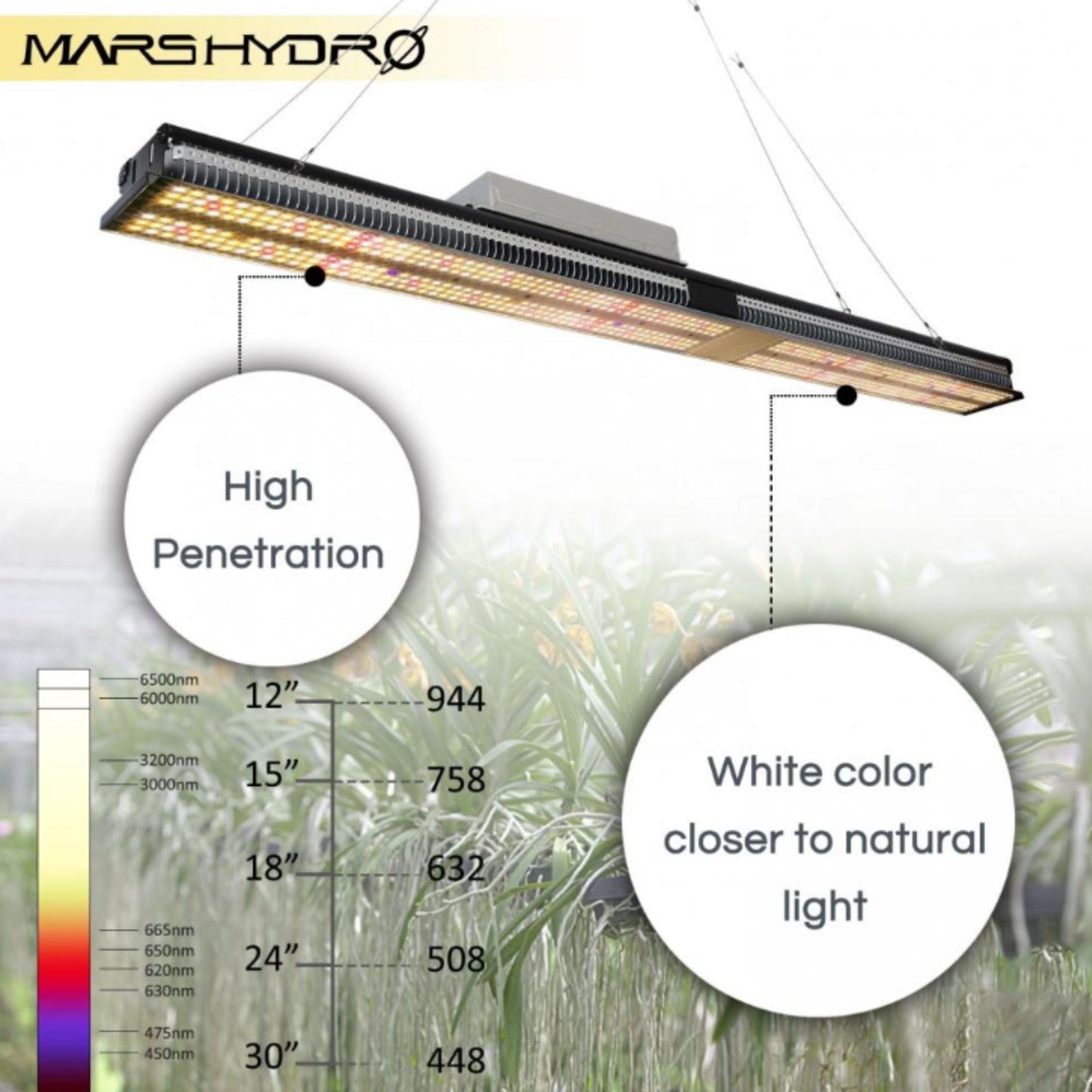 GROWING TOOLS | MARS HYDRO SP 250 LED (SALE)