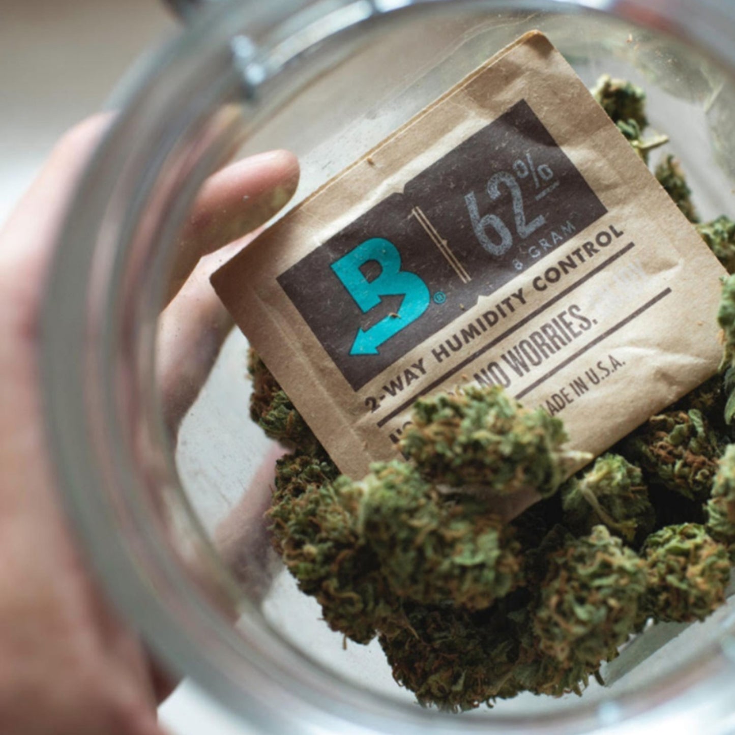 BOVEDA HUMIDITY CONTROLLER 62% RELATIVE HUMIDITY | 4, 8, 67, GRAM
