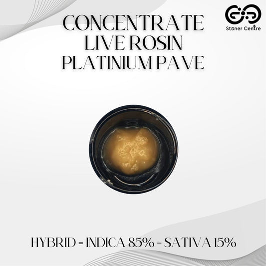 CONCENTRATE | LIVE ROSIN - PLATINIUM PAVE