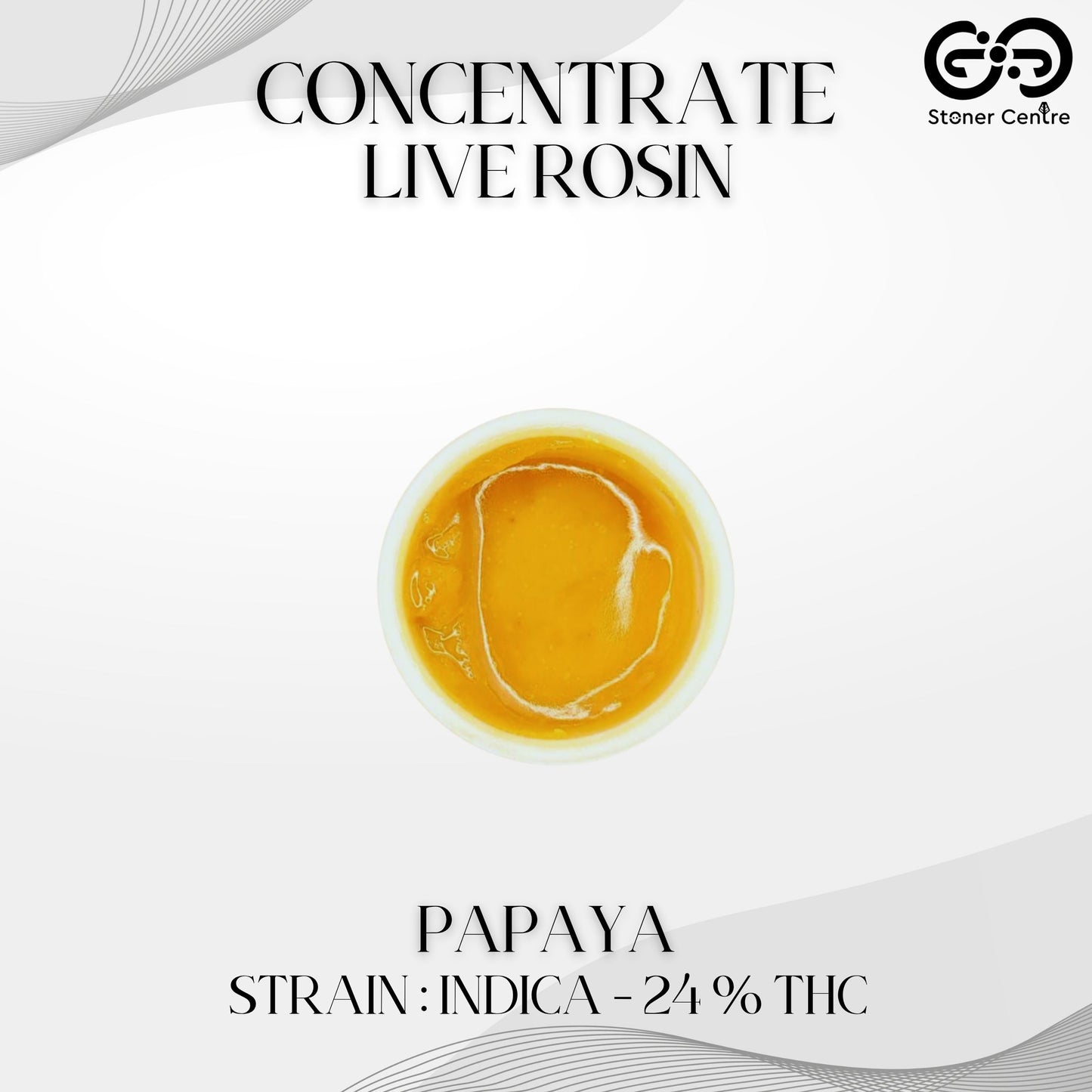 CONCENTRATE LIVE ROSIN | PAPAYA