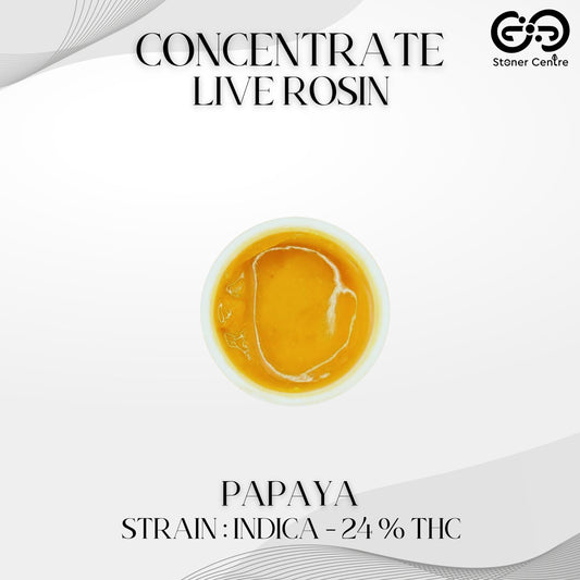CONCENTRATE LIVE ROSIN | PAPAYA