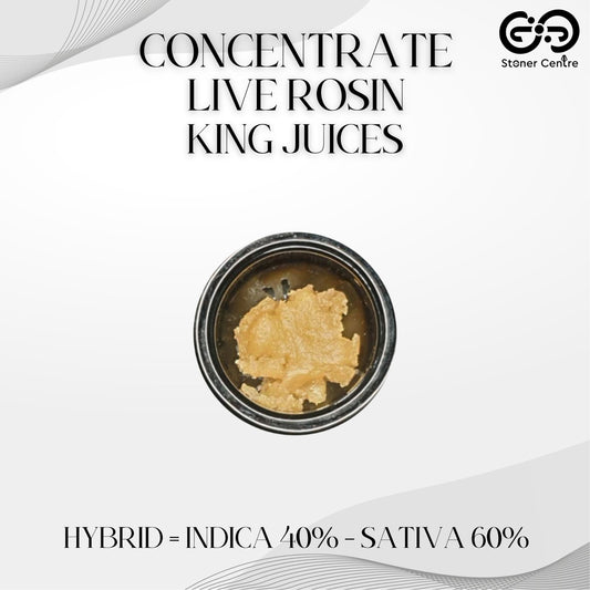 CONCENTRATE | LIVE ROSIN - KING JUICES