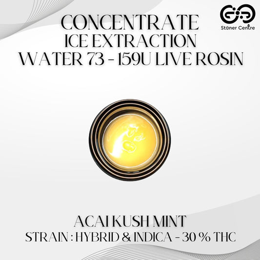 CONCENTRATE - ICE EXTRACTION WATER 73 - 159U LIVE ROSIN | TIER 2 - ACAI KUSH MINT