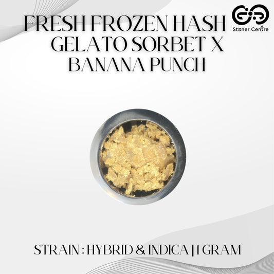 FRESH FROZEN HASH | GELATO SORBET x BANANA PUNCH