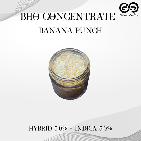 BHO CONCENTRATE | BANANA PUNCH