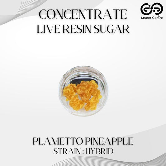 CONCENTRATE | LIVE RESIN SUGAR - PLAMETTO PINEAPPLE