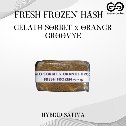 FRESH FROZEN HASH | GELATO SORBET x ORANGE GROOVYE