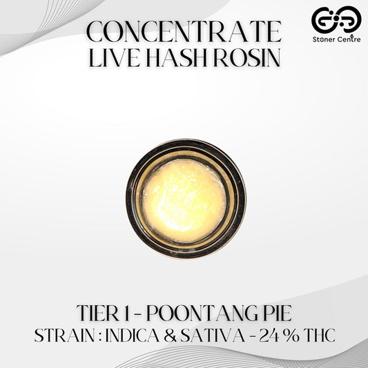 CONCENTRATE LIVE HASH ROSIN | TIER 1 - POONTANG PIE