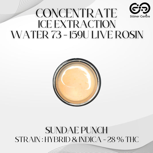 CONCENTRATE - ICE EXTRACTION WATER 73 - 159U LIVE ROSIN | SUNDAE PUNCH