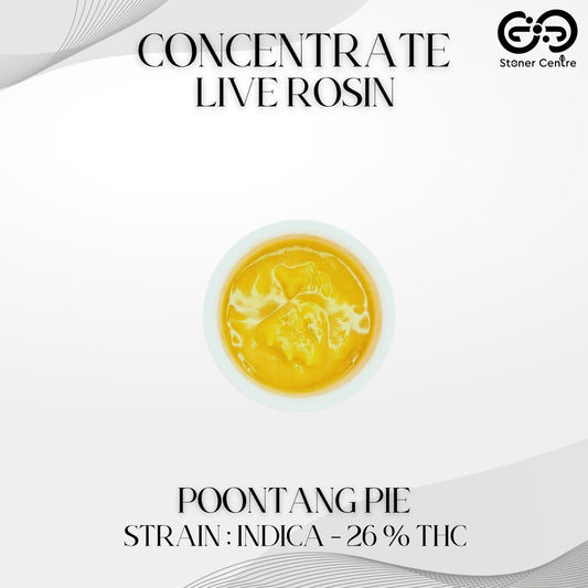 CONCENTRATE LIVE ROSIN | POONTANG PIE