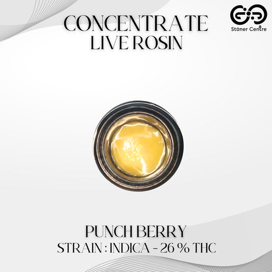 CONCENTRATE LIVE ROSIN | TIER 2 - PUNCH BERRY