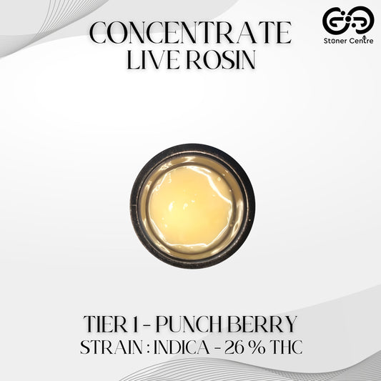 CONCENTRATE LIVE ROSIN | TIER 1 - PUNCH BERRY