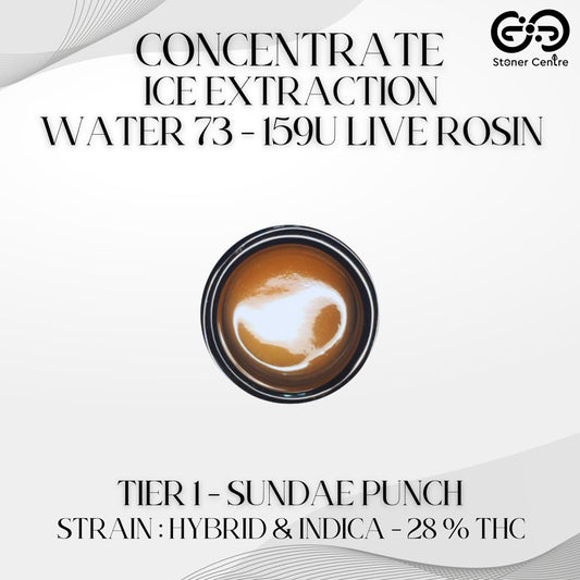 CONCENTRATE - ICE EXTRACTION WATER 73 - 159U LIVE ROSIN | TIER 1 - SUNDAE PUNCH