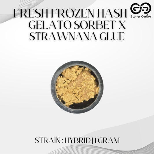 FRESH FROZEN HASH | GELATO SORBET x STRAWNANA GLUE