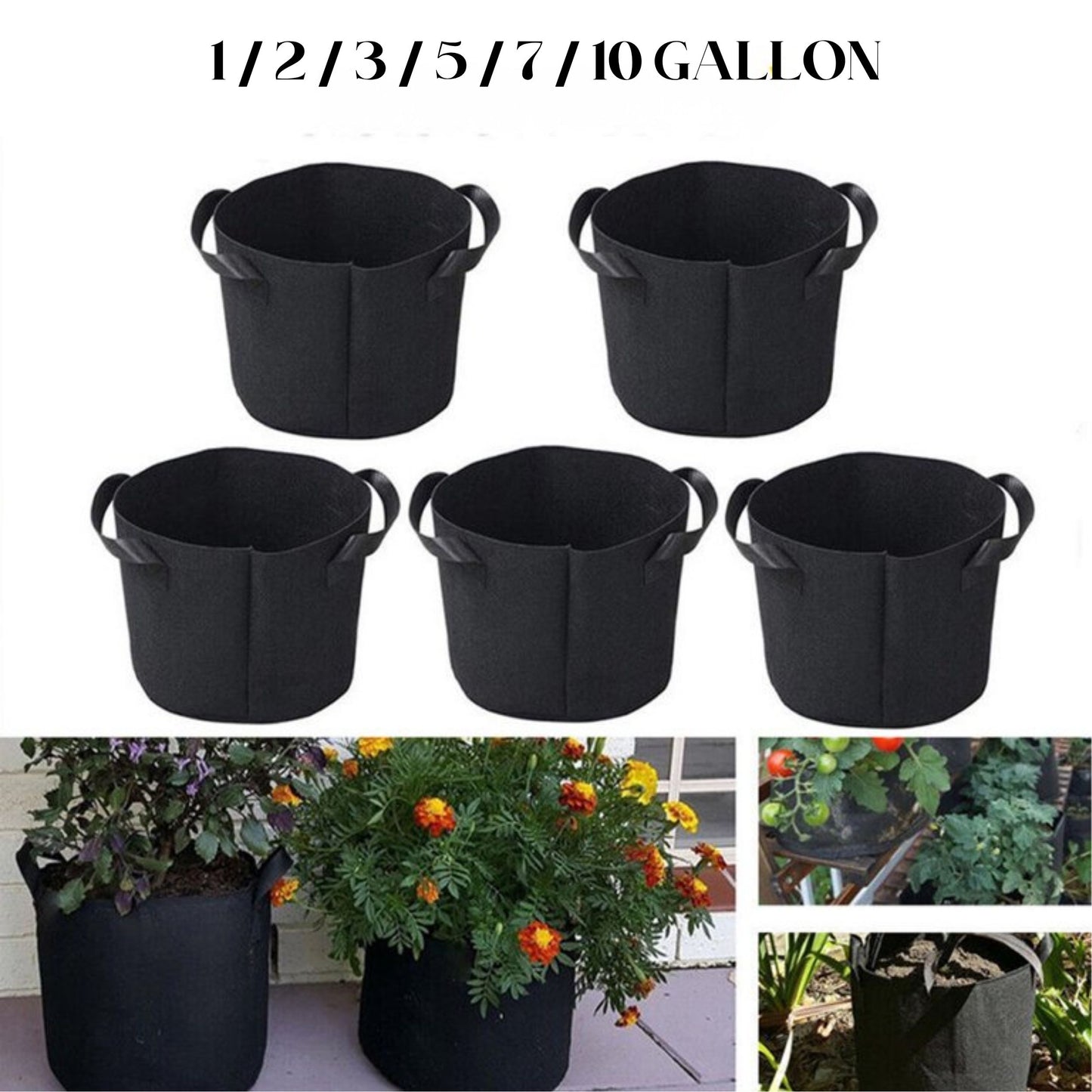 GROW BAG | SMARTPOT ROUND 2 GALLON