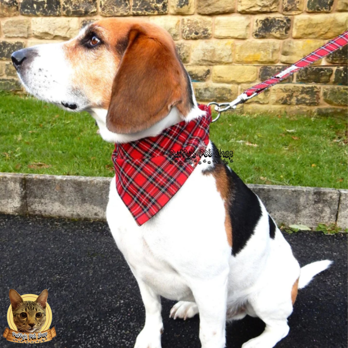 Puffy's Pet Shop |  Luxury Cotton Pet Scarf  ผ้าพันคอสัตว์เลี้ยงพรีเมียม ผ้าคอตตอนแท้ เนื้อผ้าดี ไม่ระคายเคือง สำหรับสุนัขและแมว ขนาด L 60 ซม.