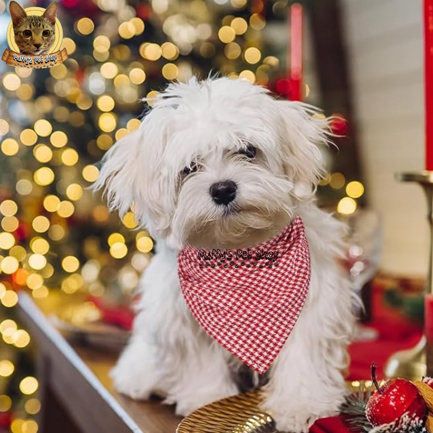 Puffy's Pet Shop |  Luxury Cotton Pet Scarf  ผ้าพันคอสัตว์เลี้ยงพรีเมียม ผ้าคอตตอนแท้ เนื้อผ้าดี ไม่ระคายเคือง สำหรับสุนัขและแมว ขนาด L 60 ซม.