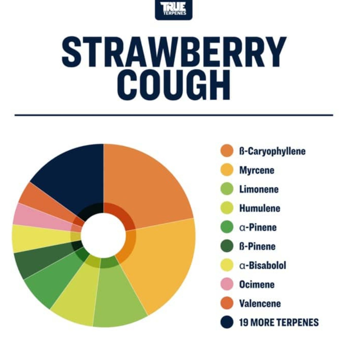 True Terpenes | Strawberry Cough 5ml