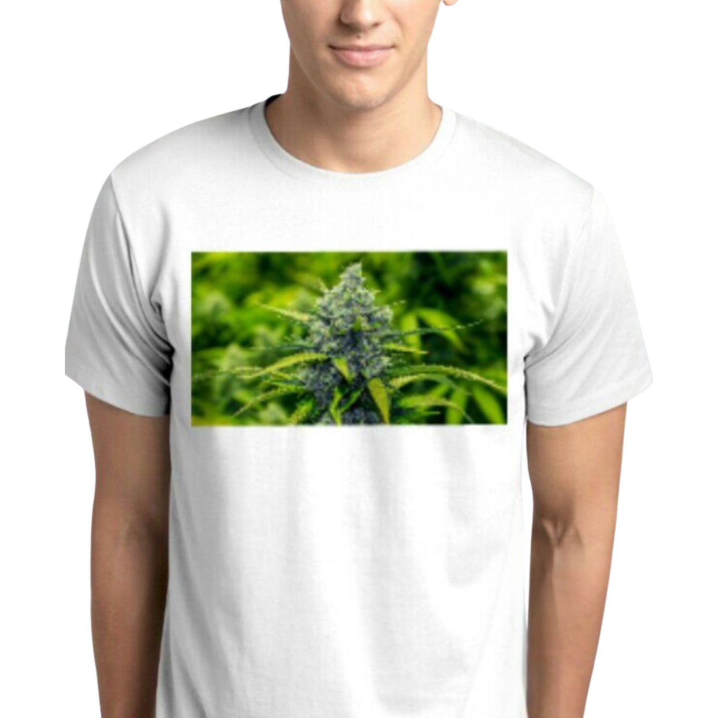 T - SHIRT | BUDS