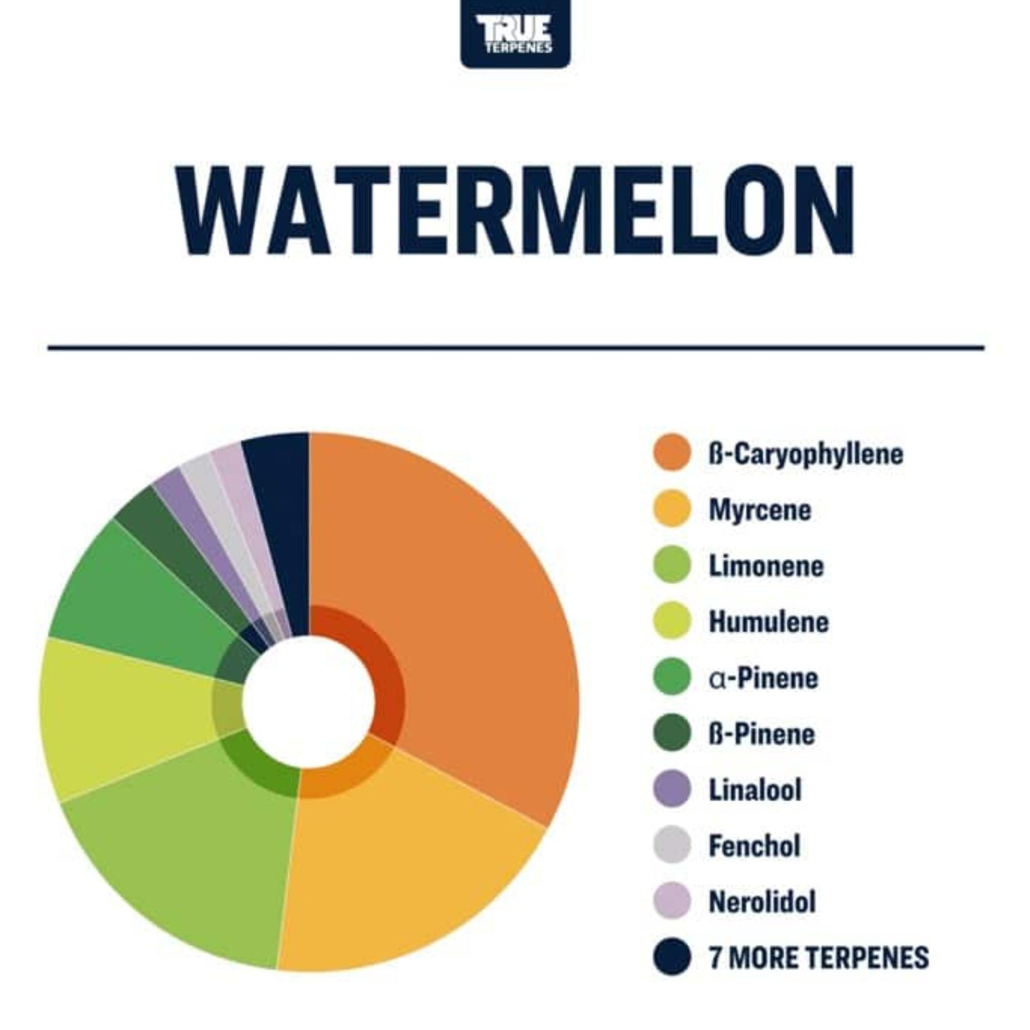 True Terpenes | Watermelon 5ml