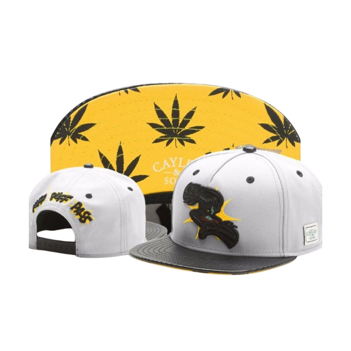 CAP CAYLER & SONS | PUFF PUFF PASS