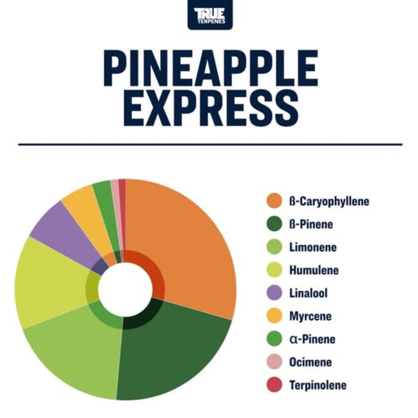 True Terpenes | Pineapple Express 5ml