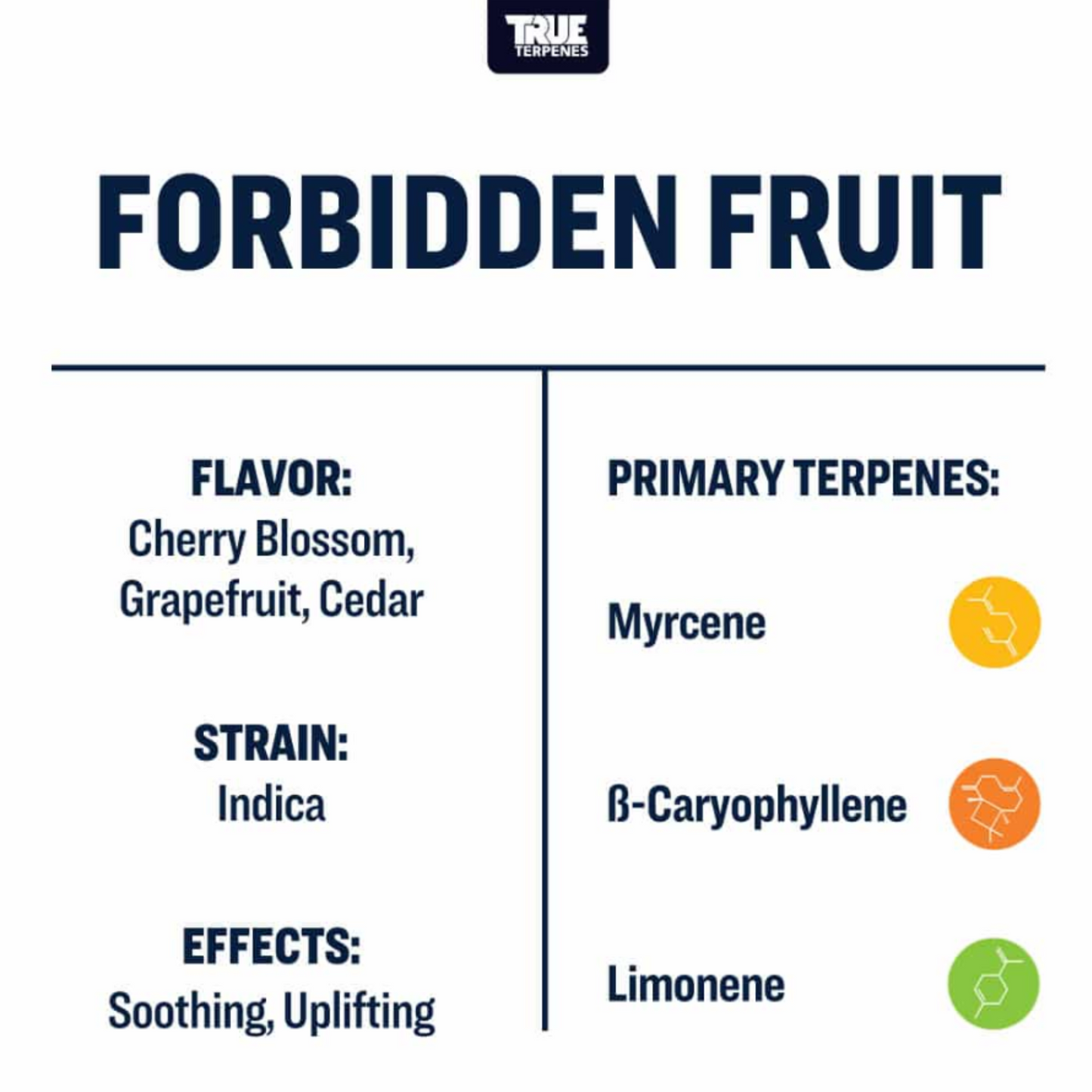 True Terpenes | Forbidden Fruit 5ml