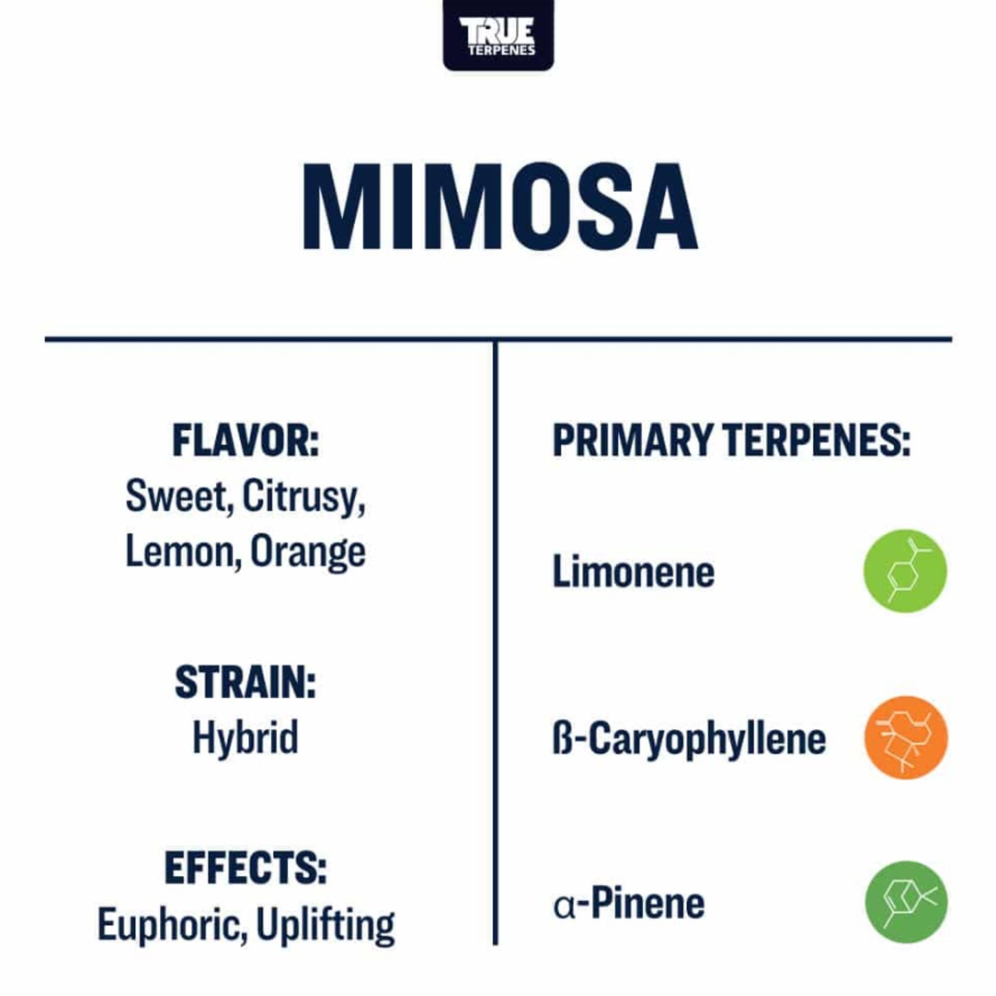 True Terpenes | Mimosa 5ml