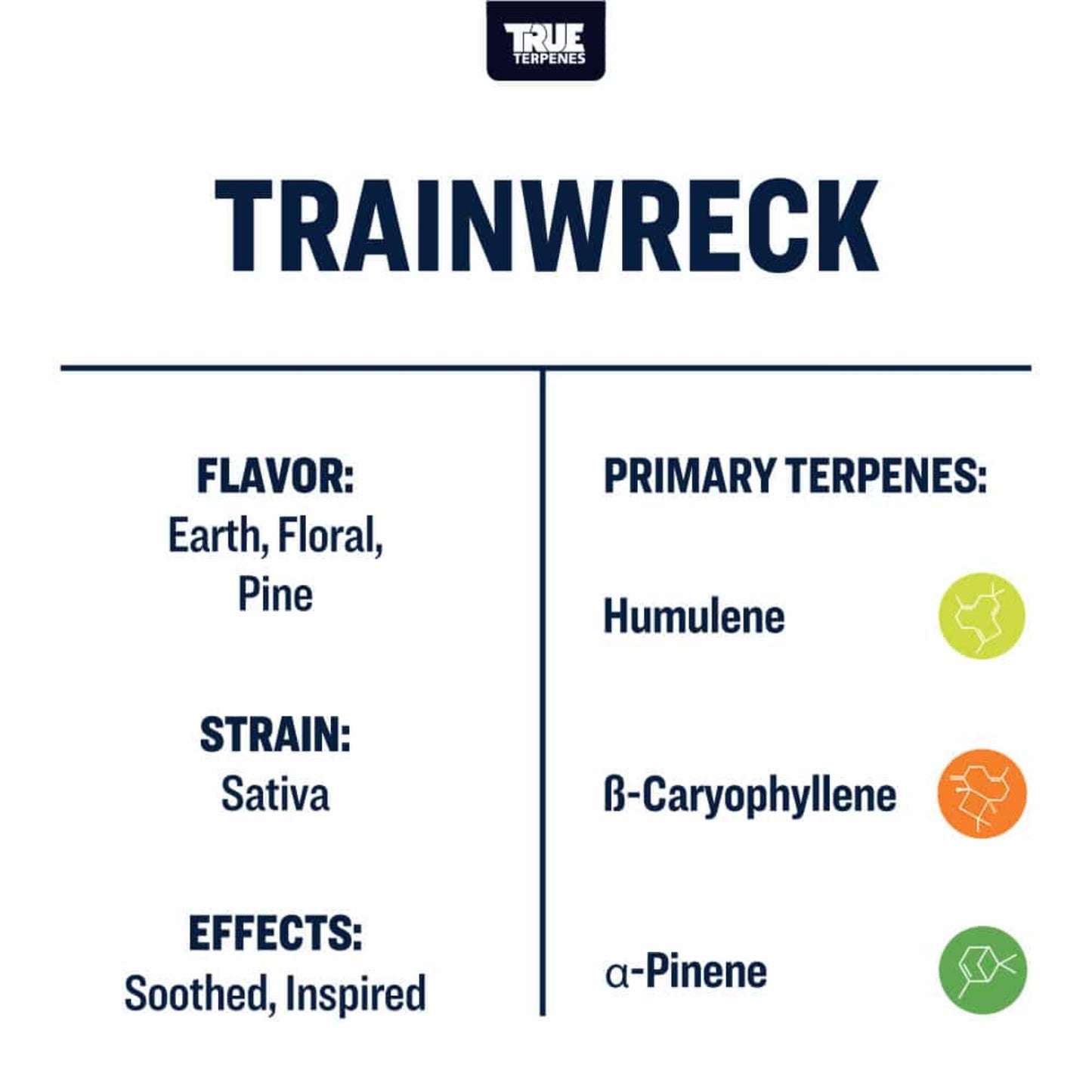 True Terpenes | Trainwreck 5ml