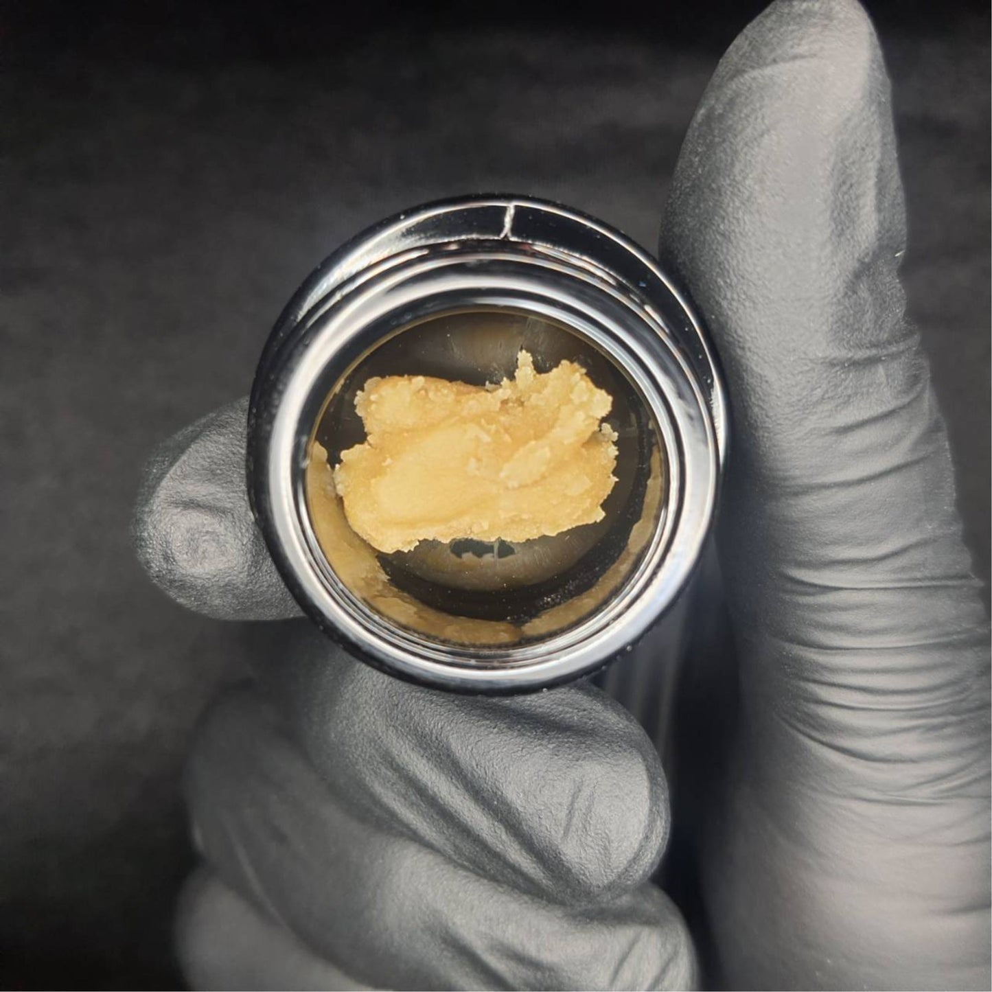 CONCENTRATE | LIVE ROSIN - SANANIMAL BISCUITS