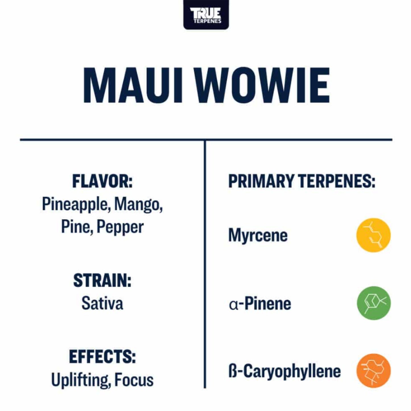 True Terpenes | Maui Wowie 5ml