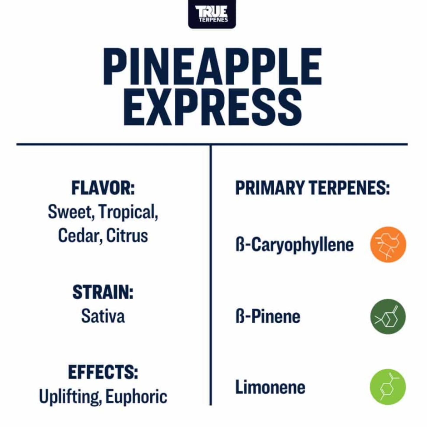 True Terpenes | Pineapple Express 5ml