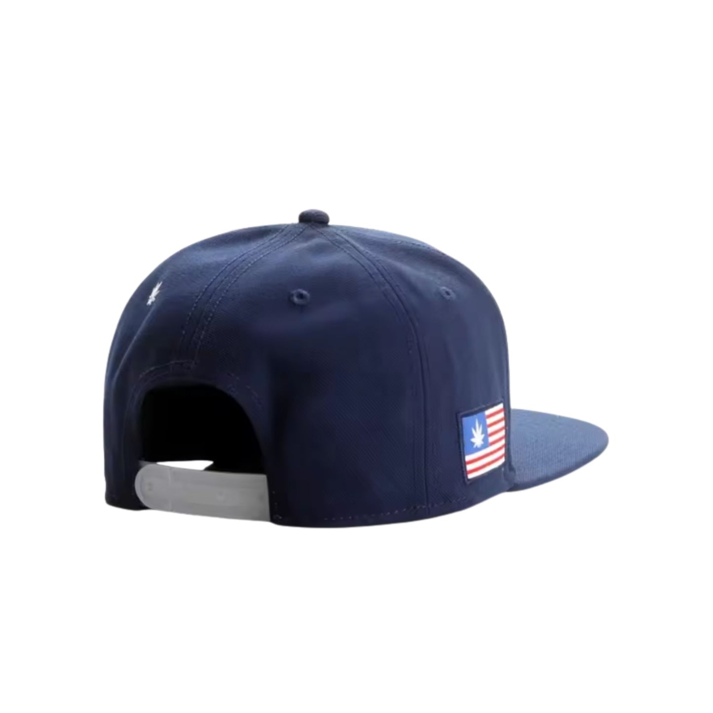 CAP CAYLER & SONS | STONED NOT STUPID